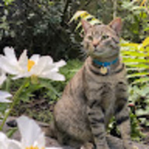 Meet your Posher, Xiaojing